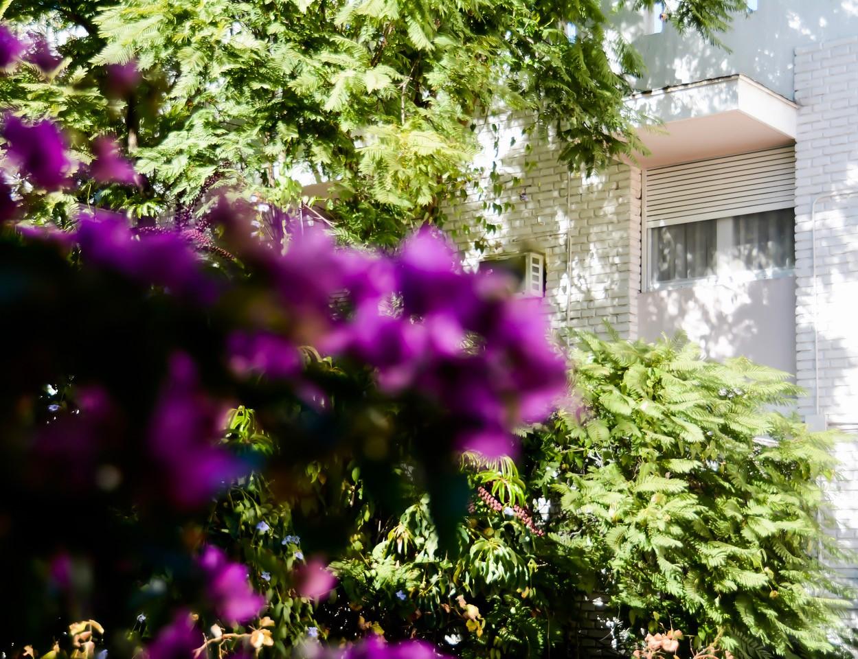 Hotel Nutibara Mendoza Kültér fotó